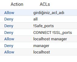 Webmin Üzerinden Squid Proxy Server Kurulumu ve Yapılandırılması